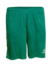 Hráčské kraťasy Select Player shorts Pisa zelená