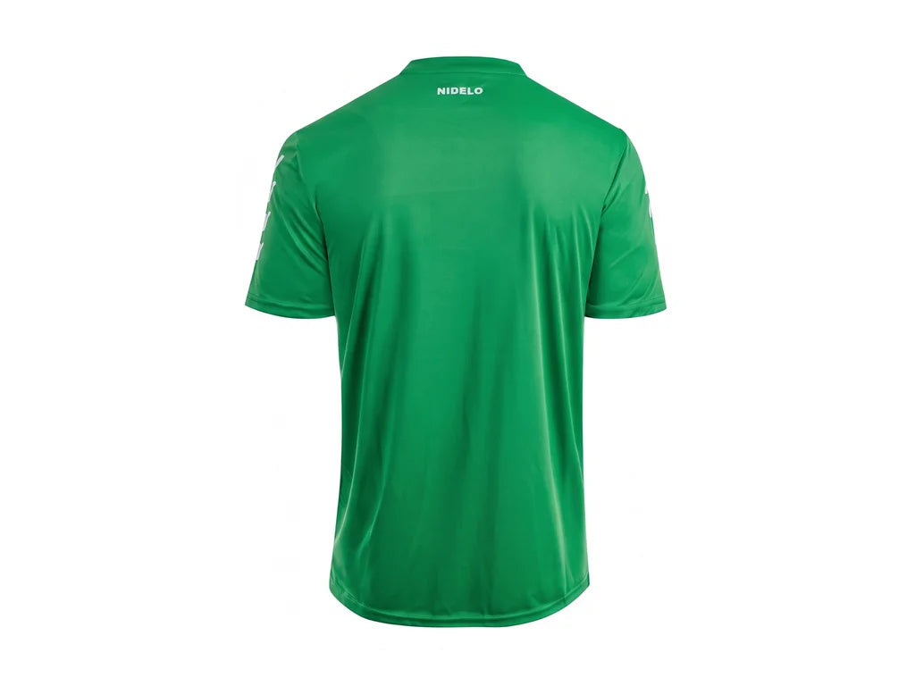 Hráčský dres NIDELO Player shirt S/S Nantes zelená