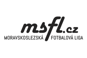 mcompanies.cz